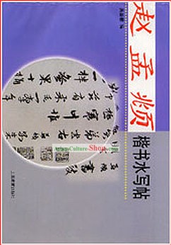 Caligrafia chinesa Paper Água Prática