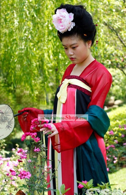 Chinese Ancient Tang Dynasty Lady Costume