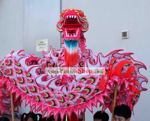 Chinois traditionnel lumineux Phoenix Dragon Dance Costumes Ensemble complet