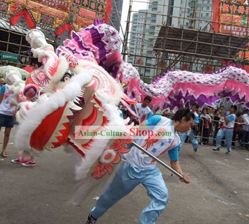 Supreme Chinese Traditional Large Classic Sheep Wool Dragon Dance Equipments Complete Set (purple)