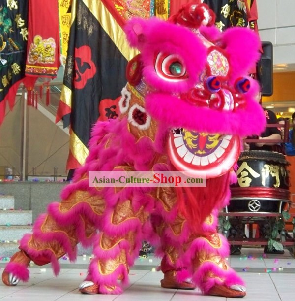 LUMINOSO tradicional Kung Fu Martial Arts Lion Trajes Dança Conjunto Completo