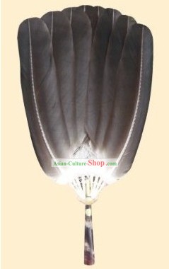 Rare Hawk Feather Fan