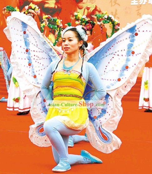 Butterfly Chinese Folk Drama Costume