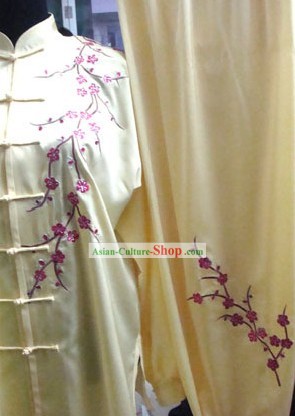 Chinese Professional Silk Arts Martiaux Tai Chi Suit