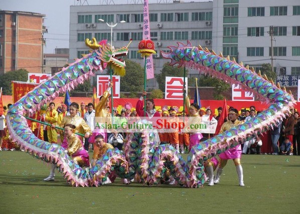 Compettion e Mão Parade Feitos Costume Dança Net Dragão para as Mulheres