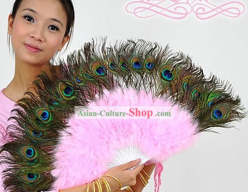 Peacock Fan Dança Feather
