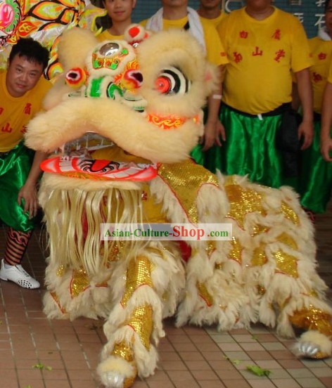 Chinese Classic Net Dragon Dance Equipments Complete Set (yellow)