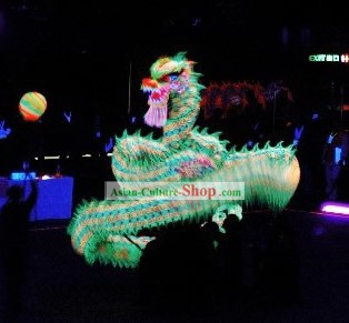 Professional Luminous Costumes Parade dragon Complete Set