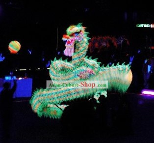 Professional Luminous Dragon Parade Costumes Complete Set