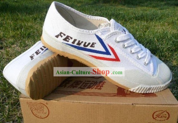 Chinese Professional Artes Marciais Tai Chi Fei Shoes Marca Yue