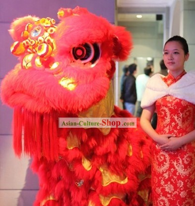 GLOW IN DARK Célébration du Nouvel An chinois Danse du Lion Costume Ensemble complet