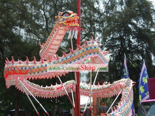 Luminous Chinese Southern Dragon Dance Costumes