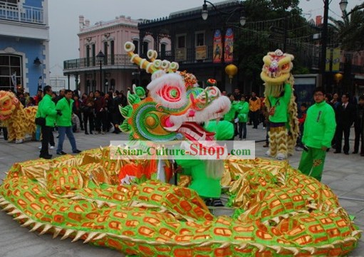 Southern Style Competition and Parade Dragon Dancing Costumes Complete Set