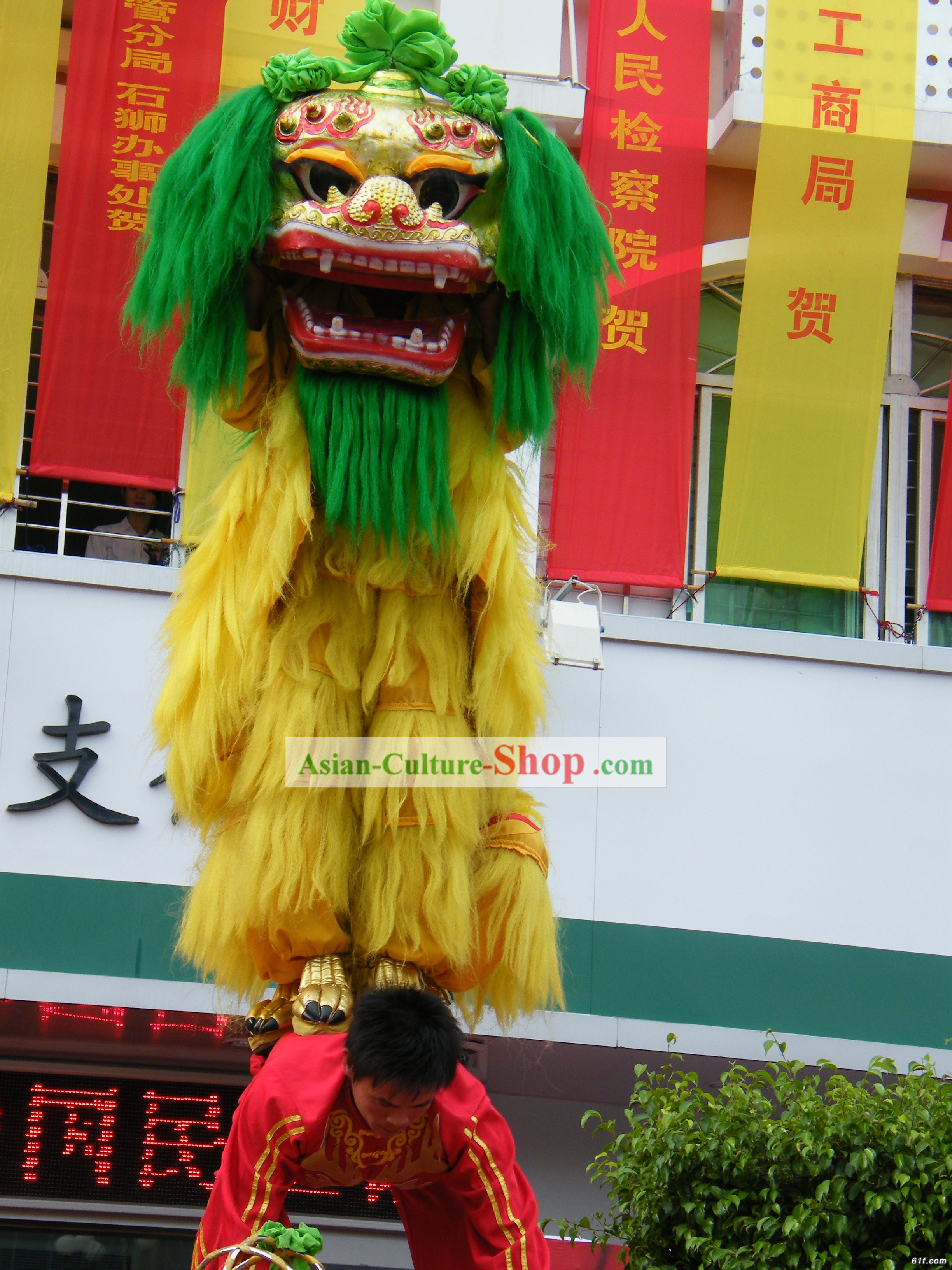 Green Hair Peking Northern Lion Dance Outfit Complete Set