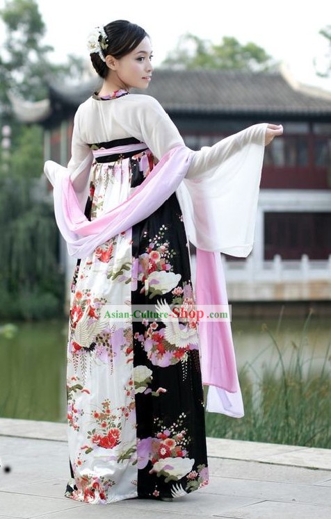 Ancient Chinese Crane Beauty Costume