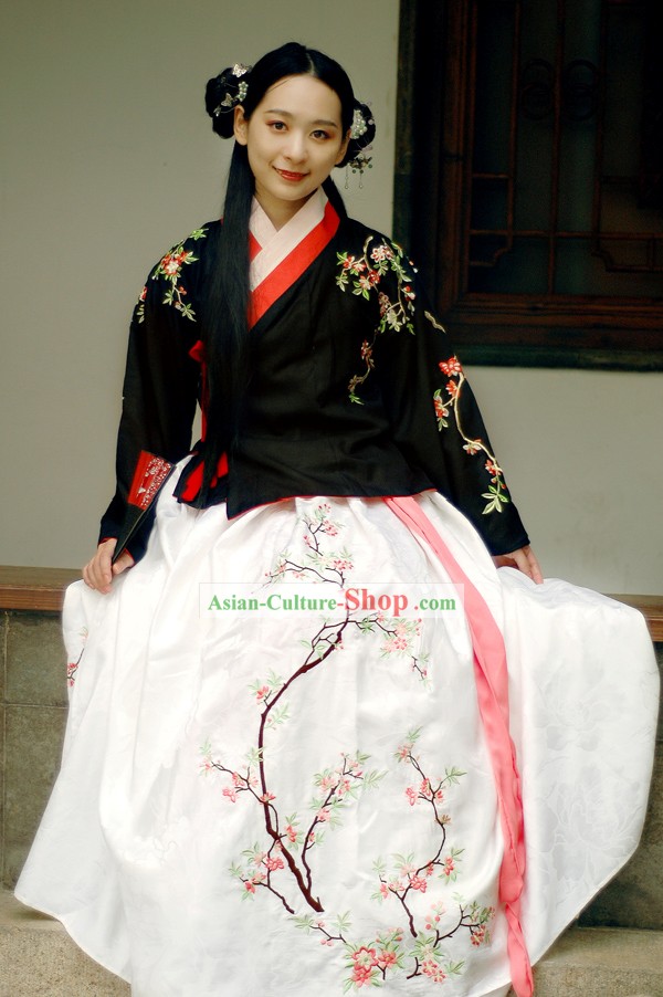 Traditional Ming Dynasty Embroidered Hanfu Clothing for Women