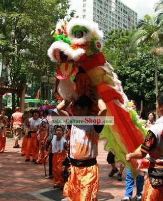 One Kid FUT SAN Lion Dance Costumes