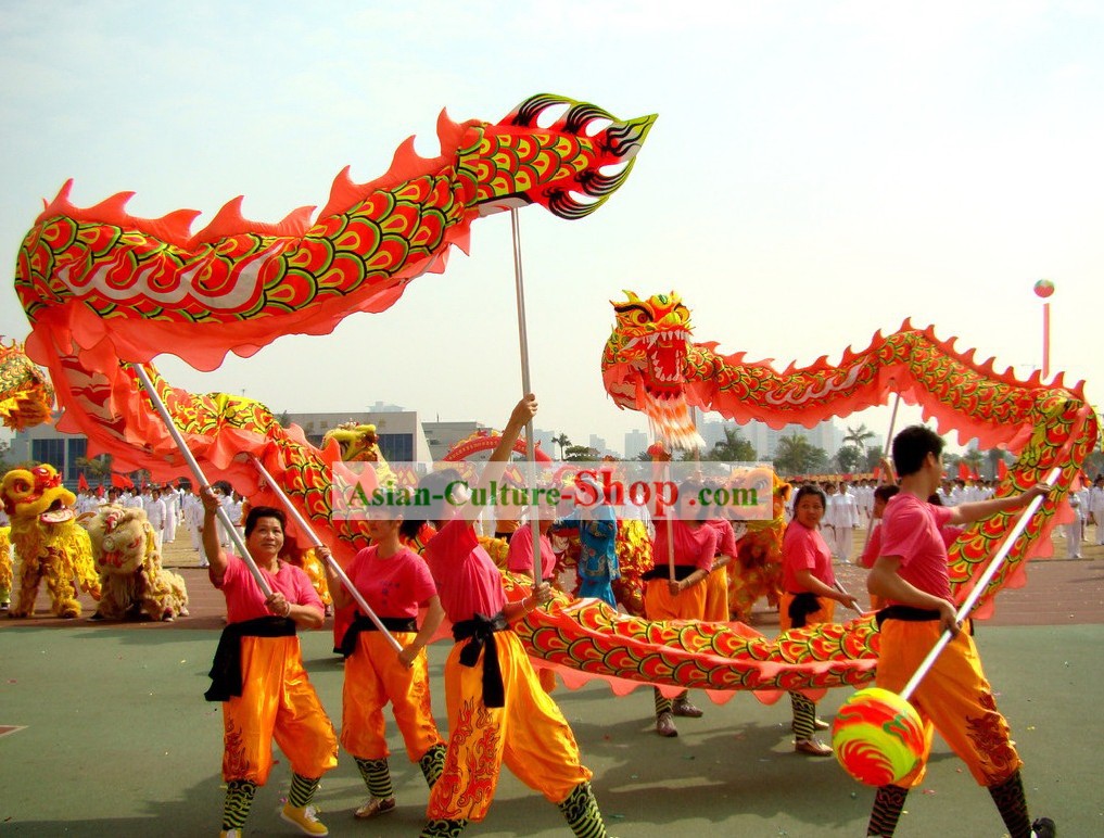 Competition and Performance Luminous Dragon Dance Costumes Complete Set