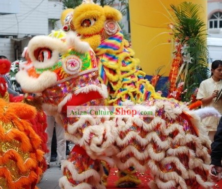 Stunning Handmade Rainbow Lion Dance Costume Complete Set