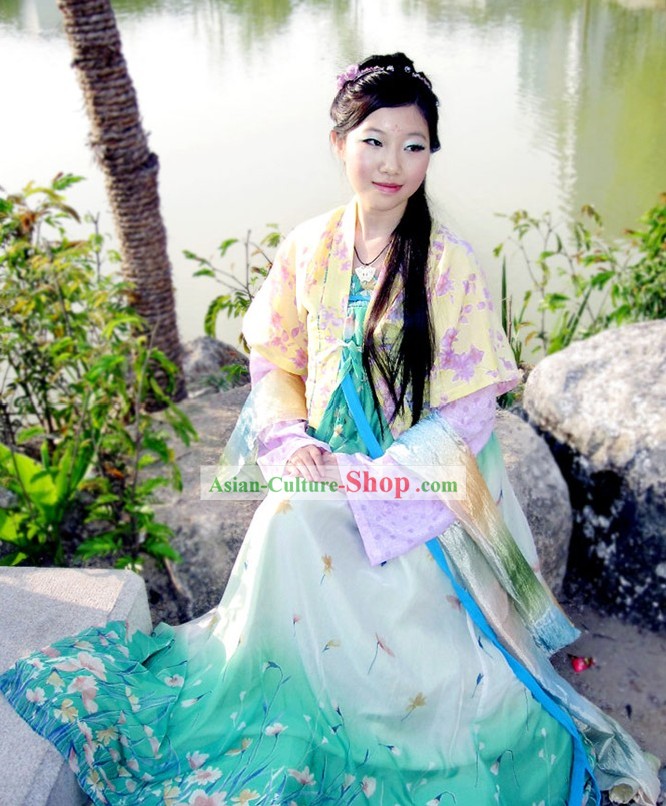 Hand Painted Tang Dynasty Hanfu Ruqun Historical Dress