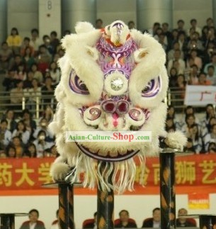 Top Competition and Parade Luminous Lion Dance Costume Complete Set