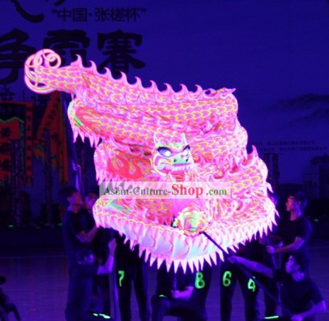 Luminous Dragon Dancing Costume Complete Set