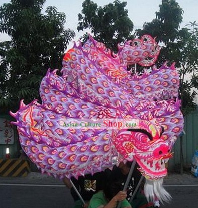 Glowing in Dark Luminous Peacock Pattern Dragon Dance Costumes Complete Set