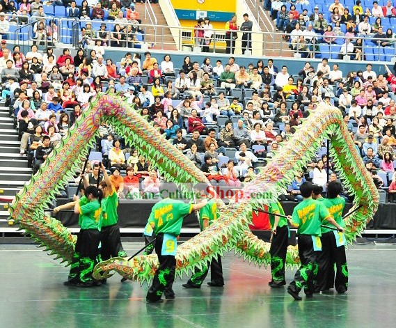 Illuminated Dragon Dance Equipment Costumes Complete Set