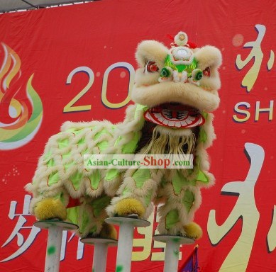 Fluorescent Competition and Parade Lion Head and Costumes Complete Set