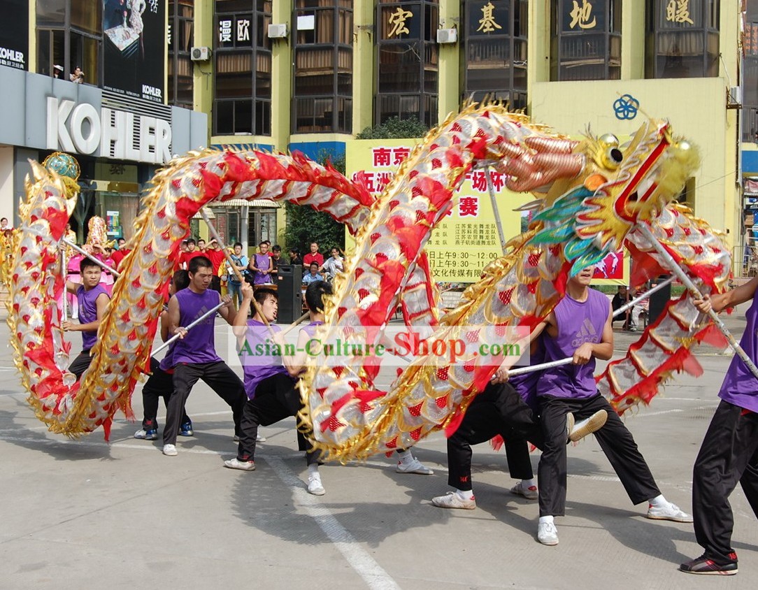 Classical Net Dragon Dance Costumes Complete Set