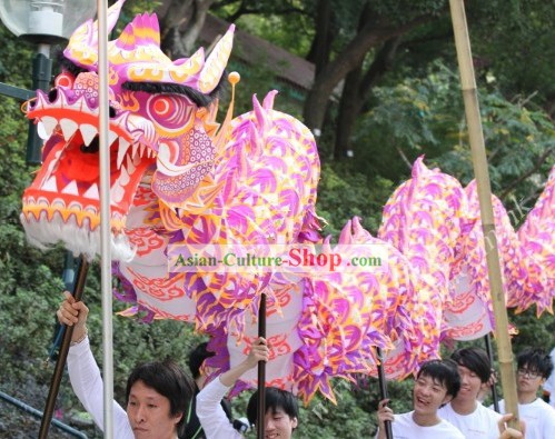 Luminous Dragon Dance Costumes Complete Set for 30 People