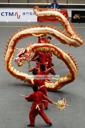 International Competition Luminous Dragon Dance Costumes Complete Set for College University Adults