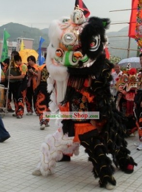 Unique Double Colors Lion Dance Costumes