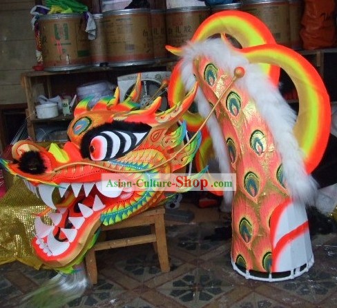 Adult Size Phoenix Tail Pattern Luminous Dragon Dancing Costumes Complete Set