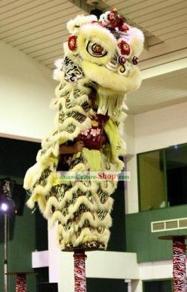 Supreme HOK SAN Competition Lion Dance Costume Complete Set