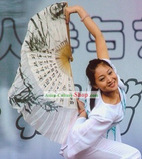 Ancient Style Chinese Calligraphy Silk Dance Fan