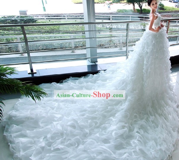 Amazing White Bridal Wedding Veil Dress with Long Trail