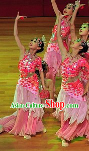 Ancient Chinese Dance Costume and Headpieces Complete Set for Women