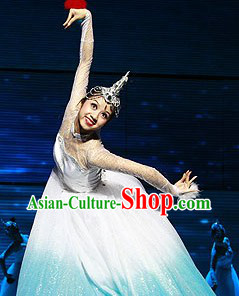 Chinese Swan Dance Costumes Complete Set for Women