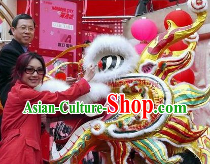 Supreme Shopping Mall Opening Southern Style Dragon Dance Costume Complete Set