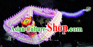 Competition Celebration and Parade Glow in Dark Dragon Dancing Costume Complete Set