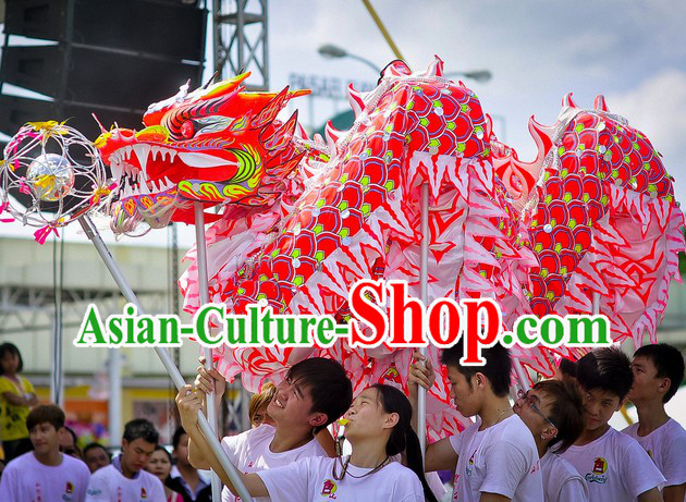 Professional Luminous Dragon Dance Equipment Complete Set for 9-10 Adults