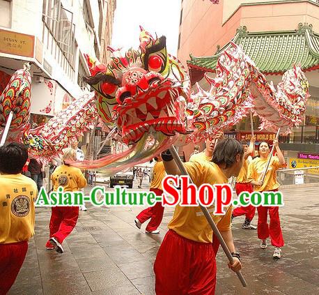 Southern Luminous Dragon Dance Costume for 9-10 People