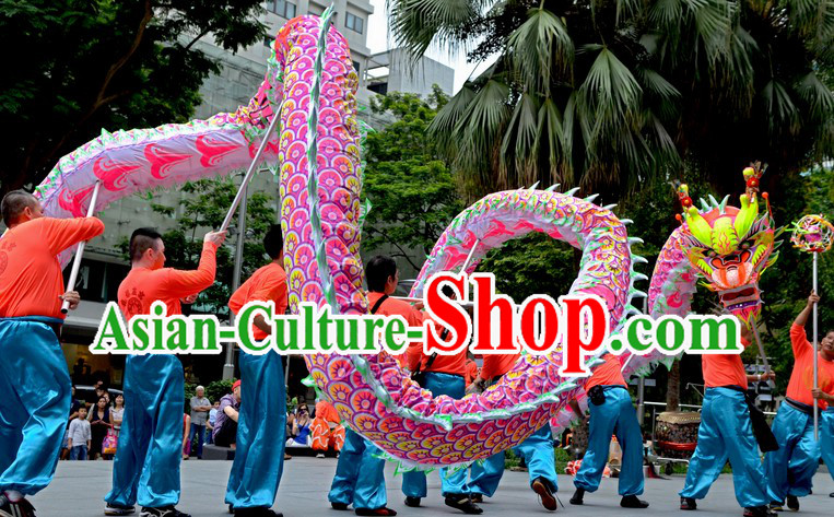 College Illuminated Dragon Dance Costume for 9-10 Students