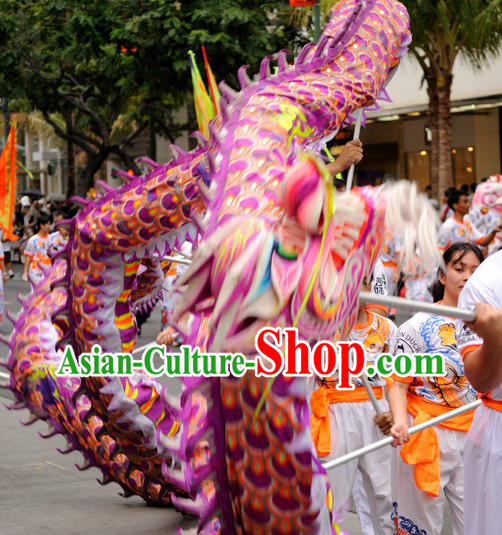 Purple CNY Dragon Dance Costume for 9-10 Persons