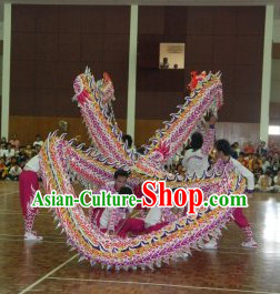 High School Luminous Dragon Dance Costume Complete Set for Students