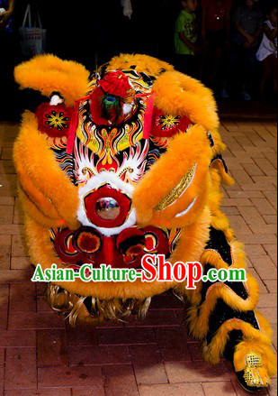 Southern Hoksan Lion Dancing Head and Costumes Rental