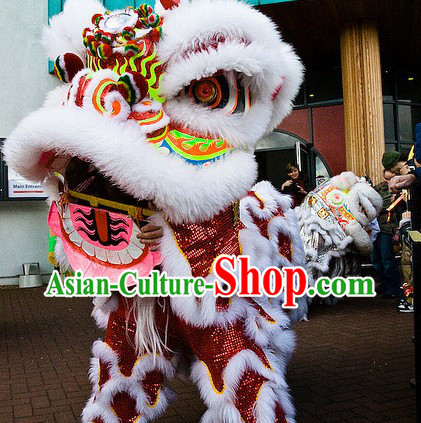 Luck Power Meaning Southern Futsan Lion Dance Costume Complete Set