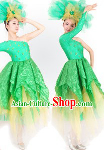 Traditional Chinese Opening Dance Costumes and Headdress for Women