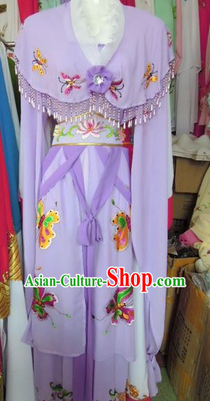 Ancient Chinese Purple Butterfly Robe for Women